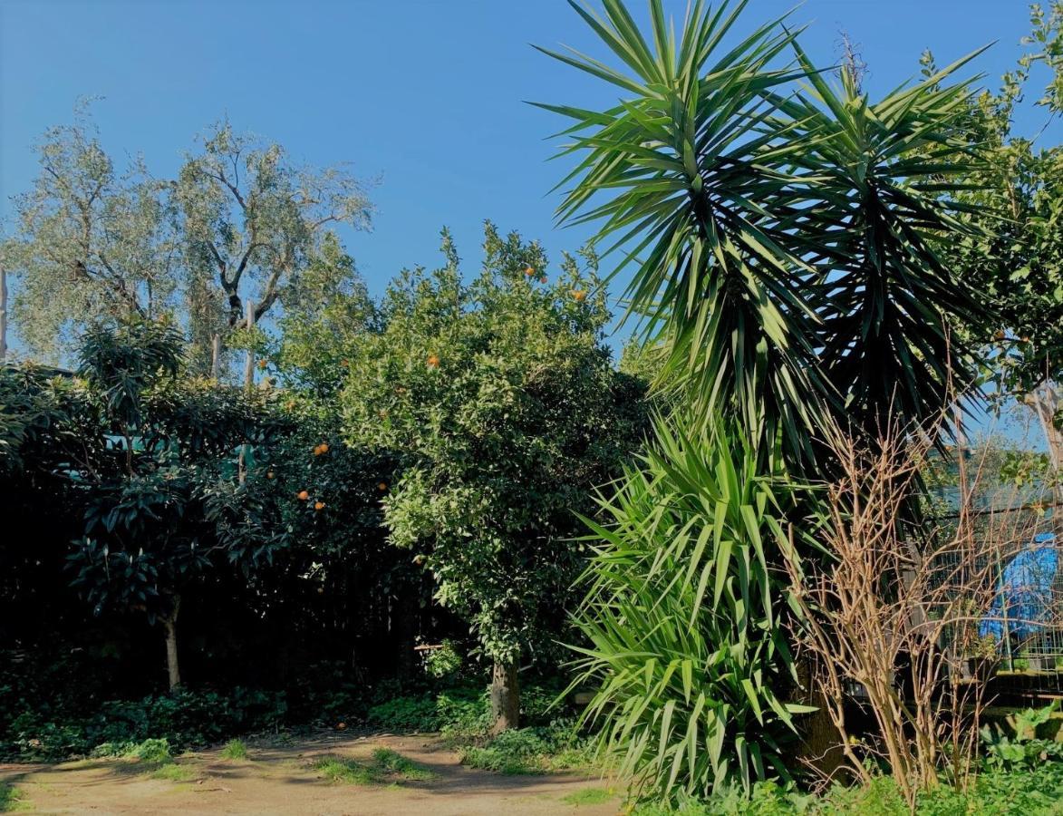 פיאנו די סורנטו Itaca B&B מראה חיצוני תמונה