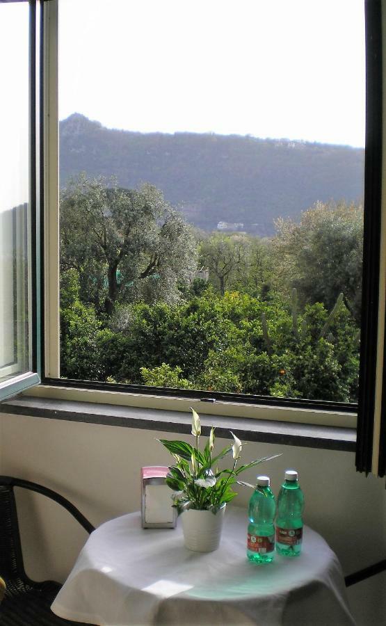 פיאנו די סורנטו Itaca B&B מראה חיצוני תמונה