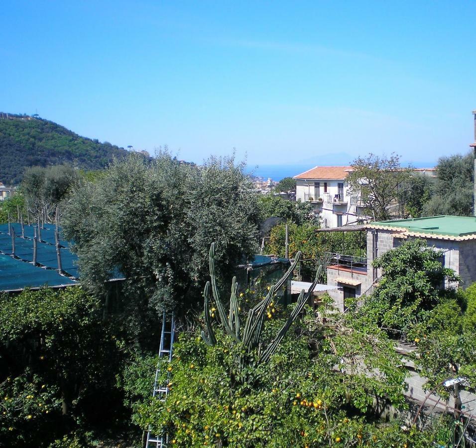 פיאנו די סורנטו Itaca B&B מראה חיצוני תמונה